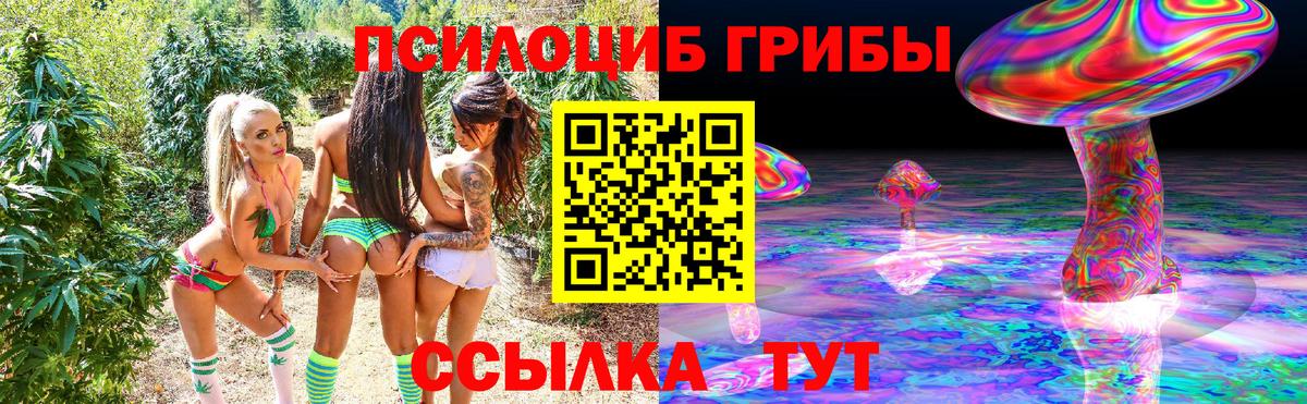 Псилоцибиновые грибы мухоморы  купить наркотики цена  Елизово  Вход с VPN 